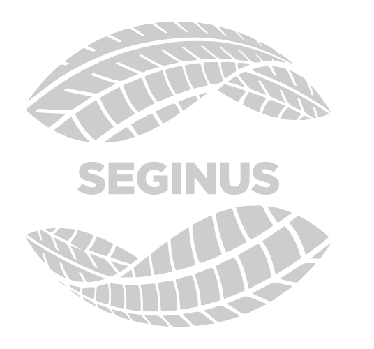 Seginus